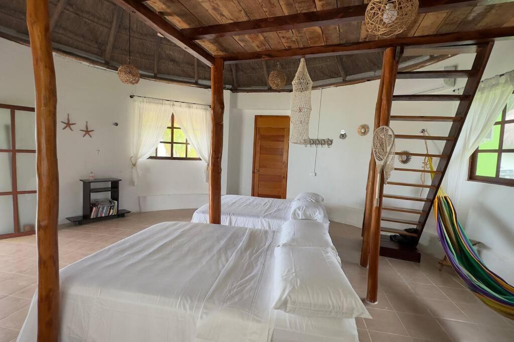 Luigi'S Glamping Lägenhet Bacalar Exteriör bild
